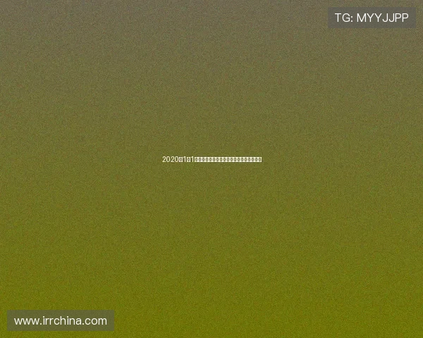 2020年1月1日火箭队与掘金队精彩对决视频回顾与分析